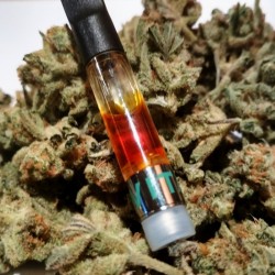 BUY SUPER LEMON HAZE CANNABIS OIL 